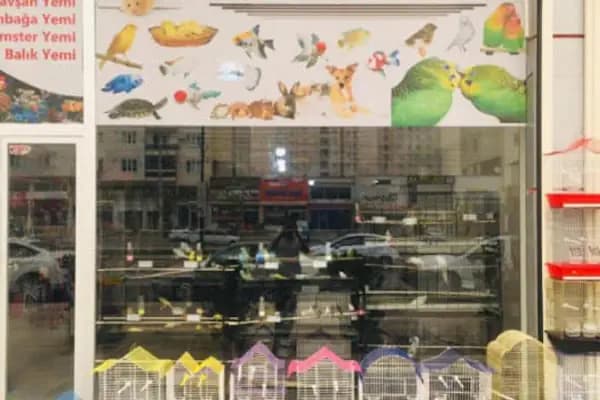 AKKENT OKYANUS PET SHOP - Evcil Hayvan Malzemeleri Mağazası - Gaziantep Şahinbey