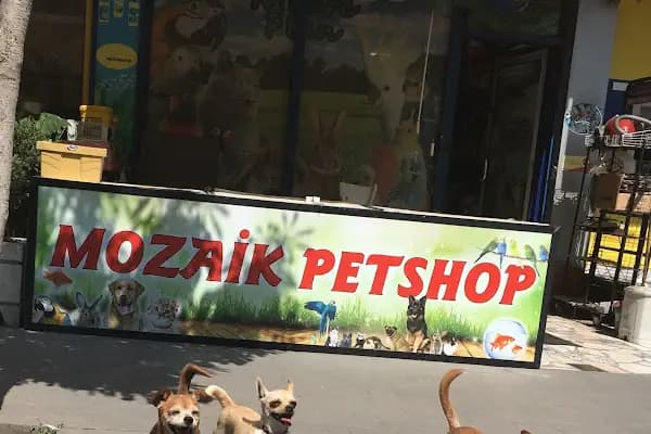 Mozaik Petshop - Evcil hayvan mağazası - Ankara Yenimahalle