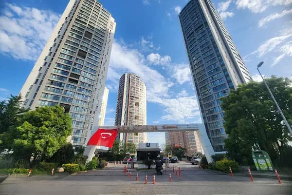 Dolunay Filo Kiralama - Araba Kiralama Şirketi - İstanbul Ataşehir