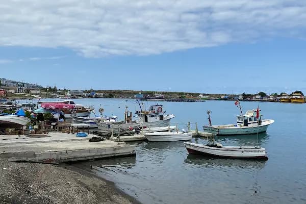 Balıkçım Balık Lokantası - Balık Restoranı - Trabzon Akçaabat