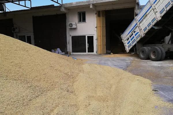 Tutaman Tarım - Kurumsal Ofis - Şanlıurfa Akçakale