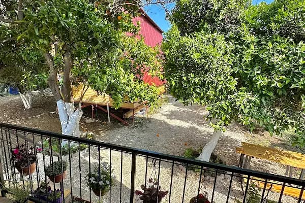 Orange Garden Bungalow - Otel - Antalya Demre