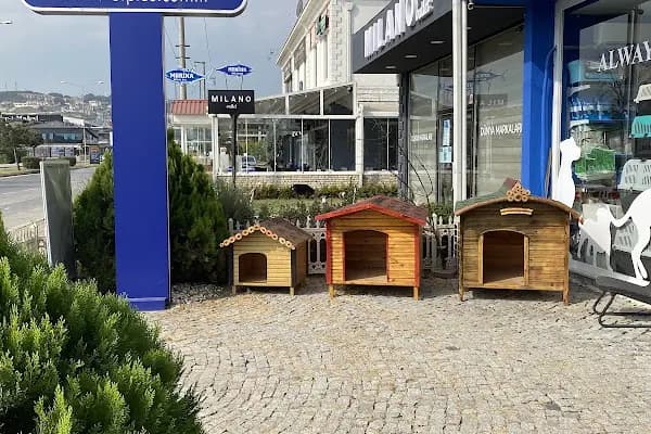 Vetplus Evcil Hayvan Kliniği - Veteriner - Sakarya Serdivan