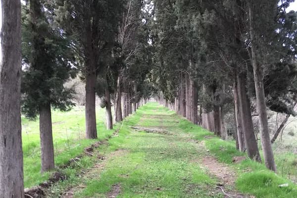 Pamuklu Dokuma Fabrikasi - Üretici - Balıkesir Altıeylül