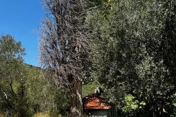 ÇANLI BABA TÜRBESİ - Kutsal Yer - Balıkesir Edremit