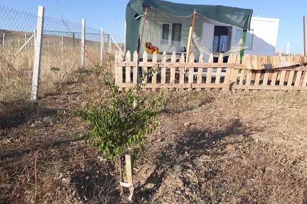 Özyeşil Hobi Bahçeleri - Tatil sitesi - Ankara Çamlıdere