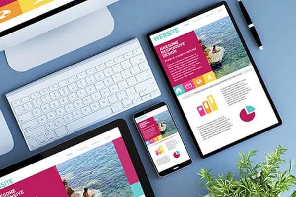 Zeplin Soft - Web Sitesi Tasarımcısı - Şanlıurfa Haliliye