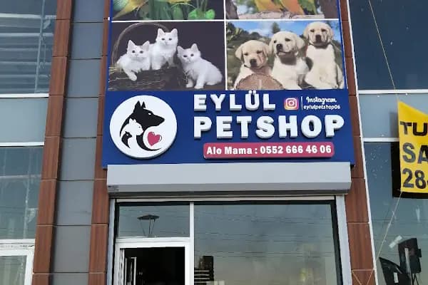 Eylül Petshop - Evcil hayvan mağazası - Ankara Yenimahalle