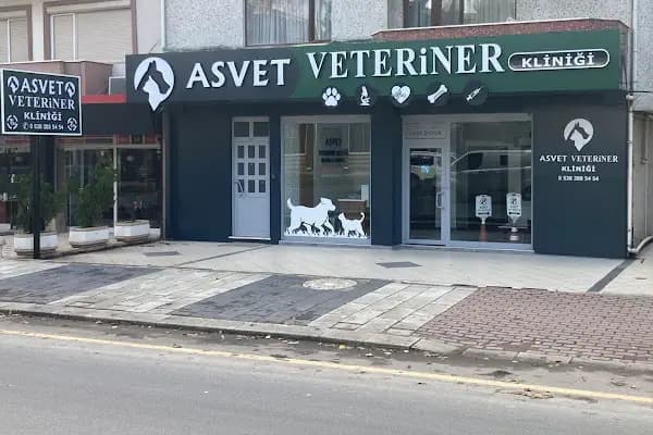 AsVet Veteriner Kliniği - Veteriner - Sakarya Adapazarı