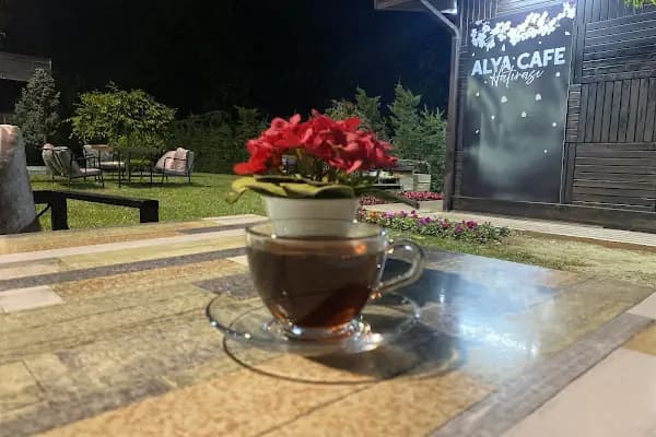Bursa Büyükşehir Belediyespor Hüdavendigar Satranç Merkezi - Spor Kulübü - Bursa Gemlik