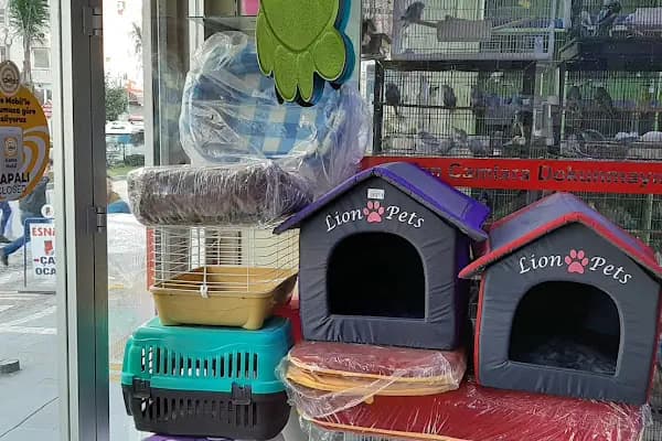 Enver Akvaryum PET Shop - Akvaryum Mağazası - Adana Sarıçam