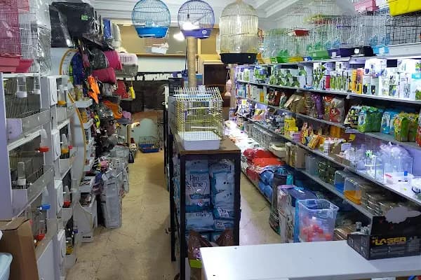 Hakan Akvaryum ve Pet Shop - Evcil hayvan mağazası - Bursa Harmancık