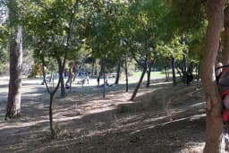 Atatürk ormanı çocuk park alanı