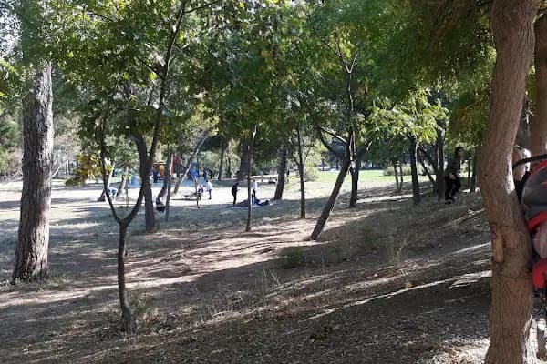 Atatürk ormanı çocuk park alanı - Park - İstanbul Bakırköy
