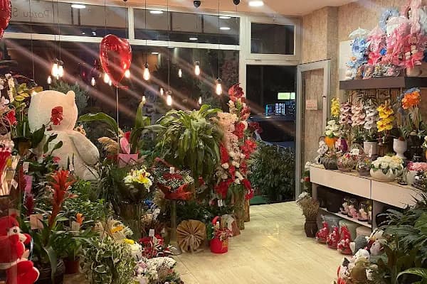 Mersin Can Flowers - Çiçekçi - Mersin Yenişehir