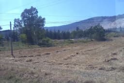 Kaksan Kireç Fabrikası