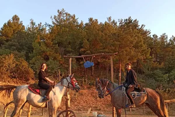 Spil Saruhanbey At Çiftliği - Binicilik Kulübü - Manisa Yunusemre