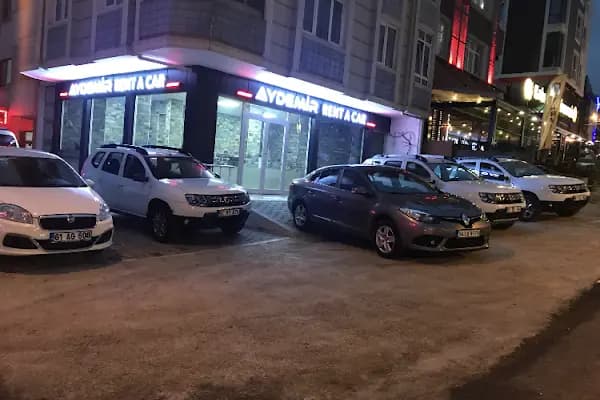 Aras Aydemir Rent A Car - Resim 16
