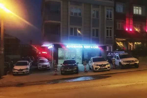Aras Aydemir Rent A Car - Resim 20