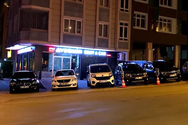 Aras Aydemir Rent A Car - Resim 5