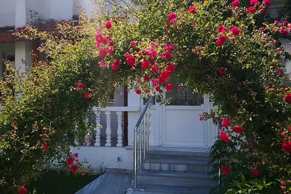 İstanbul tatil evleri - Tatil sitesi - Edirne Edirne Merkez