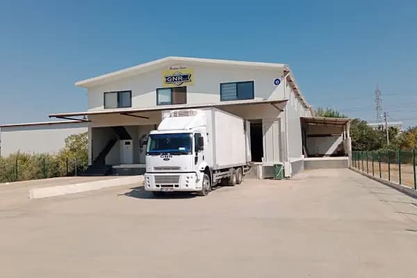 GNRFRUİT - Sebze ve Meyve Toptancısı - Antalya Döşemealtı
