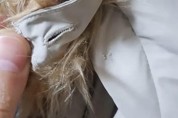 Uğur Kuru Temizleme - Kuru Temizlemeci - İstanbul Pendik