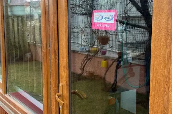 Active Pet Shop - Evcil Hayvan Malzemeleri Mağazası - Ankara Çankaya
