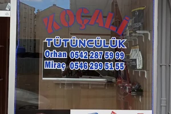 Koçali Tütüncülük - Tütüncü - Samsun Alaçam