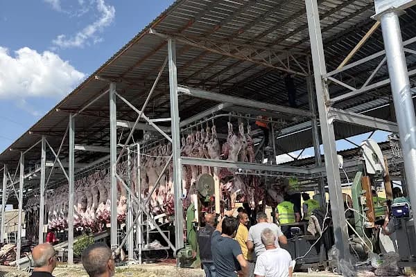 Naslı Kurban Çiftliği - Çiftlik Hayvanı Satıcısı - Ankara Ayaş