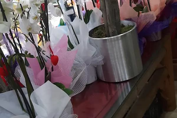 Gülcan Çiçek Bahçesi Avcılar - Çiçekçi - İstanbul Bahçelievler