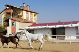 Nalçacı Binicilik &amp; At Eğitim Merkezi