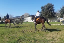 Polo Binicilik At Çiftliği