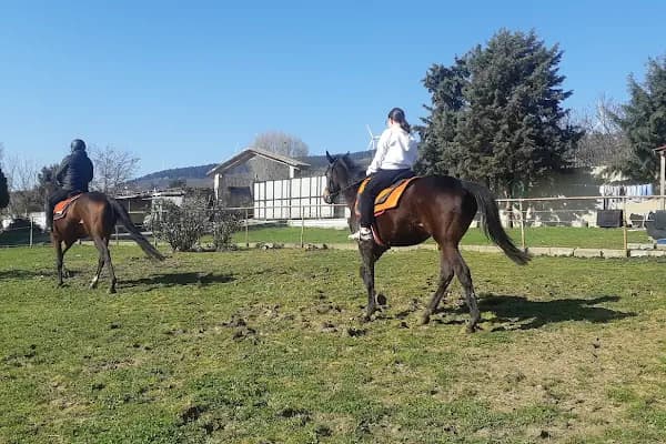 Polo Binicilik At Çiftliği - At Binme Hizmeti - İstanbul Esenyurt