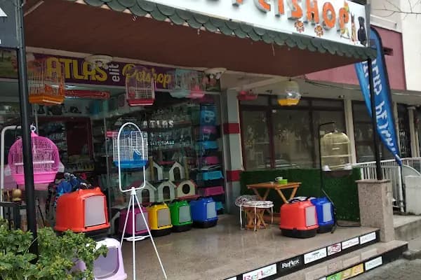 Atlas petshop 2 Bahçelievler - Evcil hayvan mağazası - Balıkesir Karesi