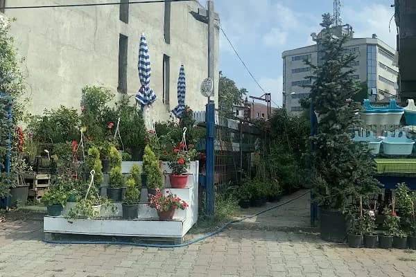 Bora Çiçek Galerisi - Çiçekçi - İstanbul Maltepe