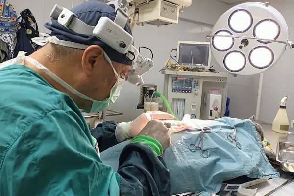 Adana Denizpet Veteriner Kliniği/Yeşilyurt/Baraj yolu - Veteriner - Adana Seyhan