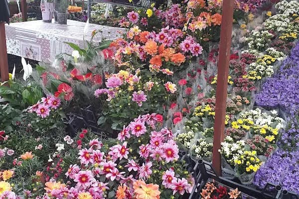 Bayındır Çiçek Pazarı - Çiçek Toptancısı - İzmir Balçova