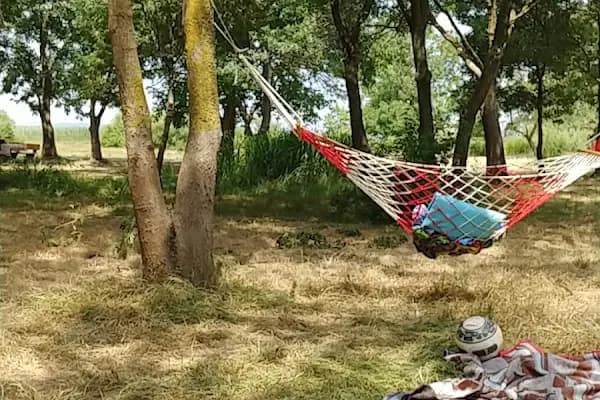 Akçalar Ulubat Gölü - Piknik Alanı - Bursa Nilüfer