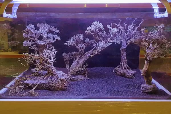 Can Akvaryum Pet Store Pet Kuaför Alo Mama Hattı - Akvaryum Mağazası - Manisa Yunusemre