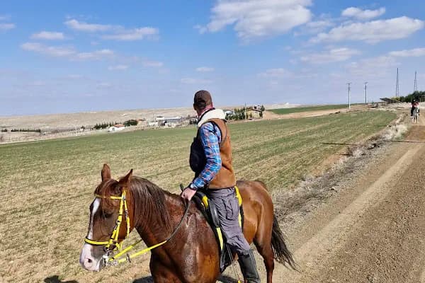 Birlik Atlı Spor Klubu - At Kiralama Hizmeti - Konya Meram