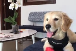 VETHOME VETERİNER KLİNİĞİ