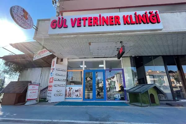 GÜL VETERİNER KLİNİĞİ - Veteriner - Sakarya Adapazarı