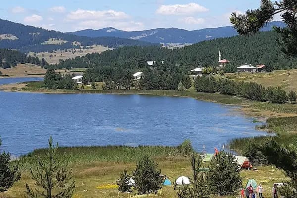 Jandarma Hatıra Ormanı - Ulusal Orman - Ankara Ayaş