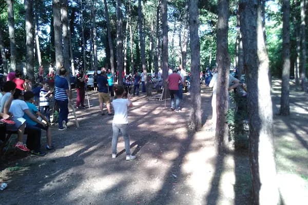 İl Orman Mesire Yeri - Park - Sakarya Arifiye