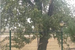 Yeşil Vadi Sitesi