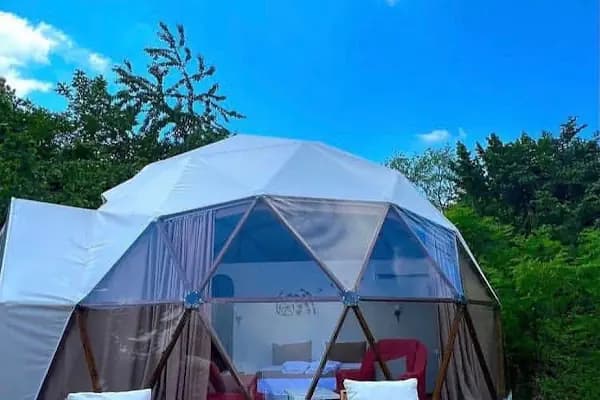 Phalesia / Falesya Glamping Otel - Otel - Sakarya Sapanca