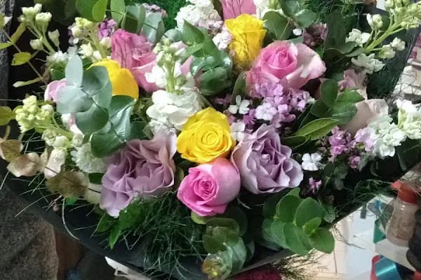 Avcılar Çiçekçi - Gardenia Çiçekçilik - Çiçekçi - İstanbul Kâğıthane