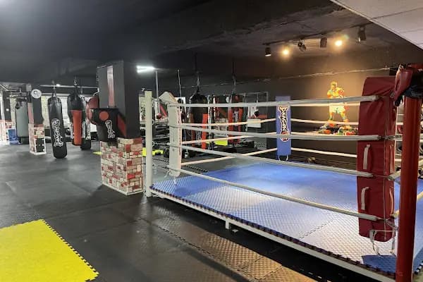 Diyarbakır Fight Club - Spor Kulübü - Diyarbakır Kayapınar