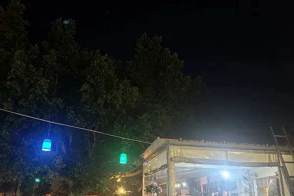 Ayarlı Kokoreç - Restoran - Muğla Bodrum